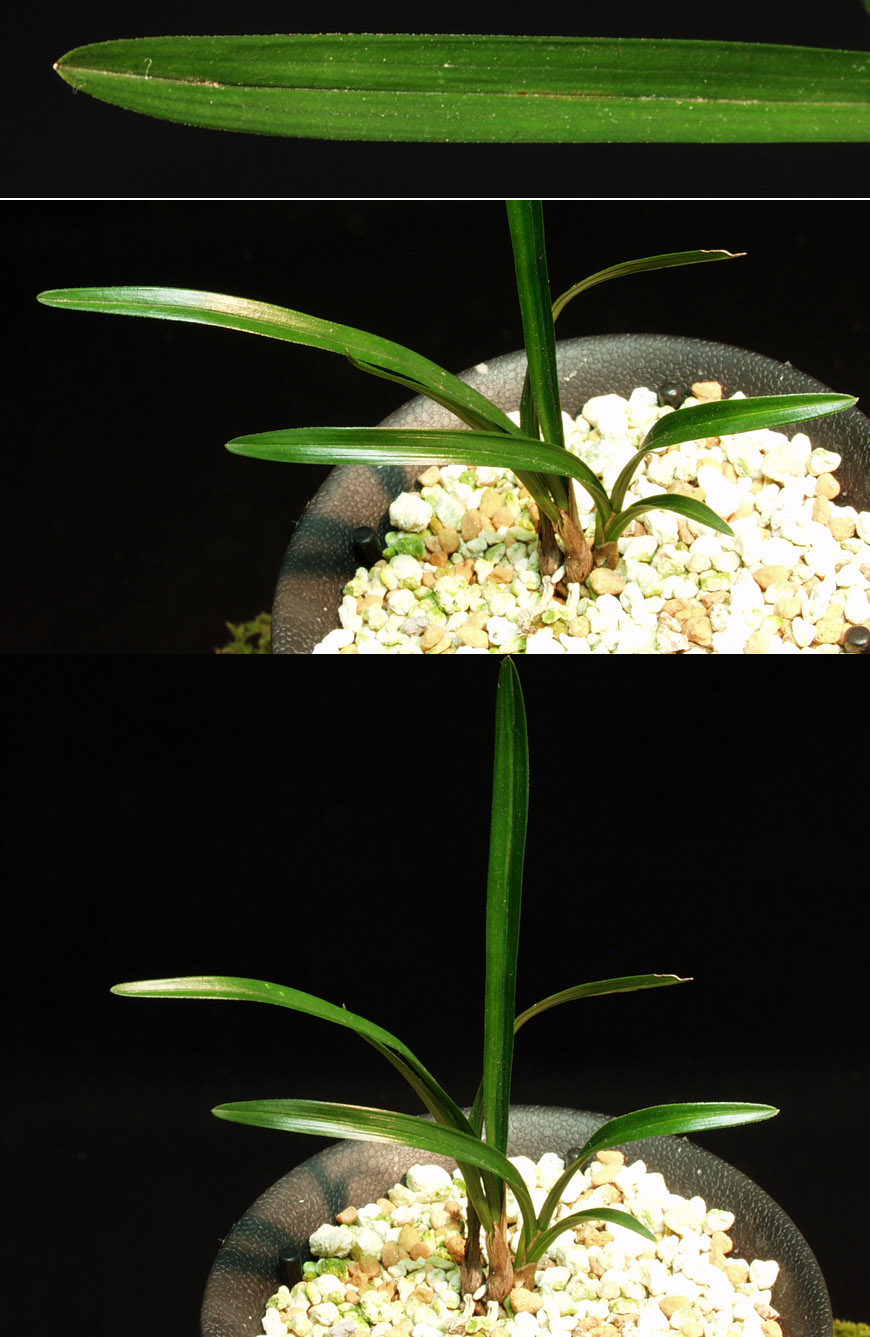 ������ ū������ �� �� �ֽ��ϴ�.