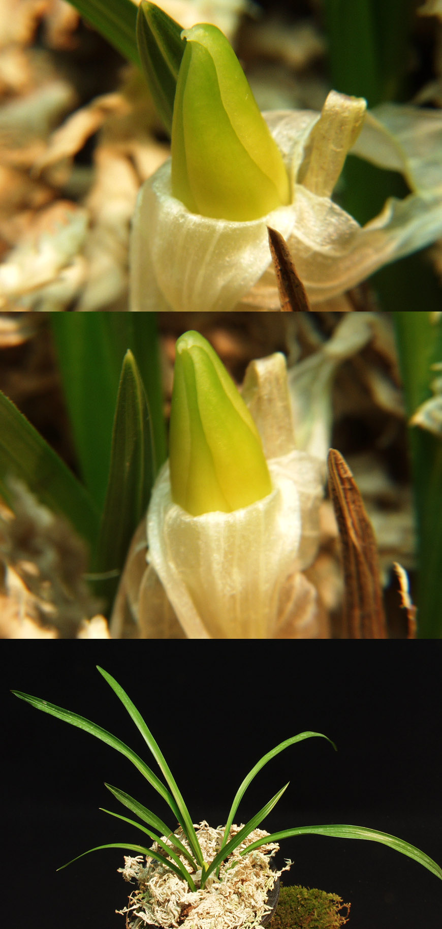 ������ ū������ �� �� �ֽ��ϴ�.