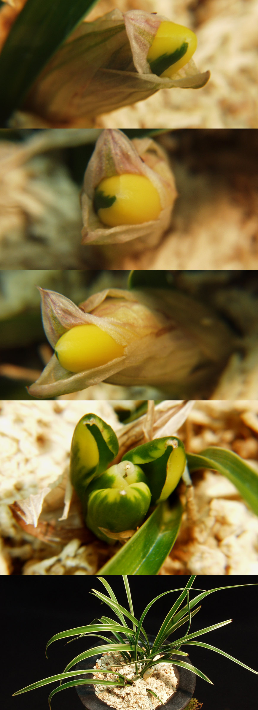 ������ ū������ �� �� �ֽ��ϴ�.