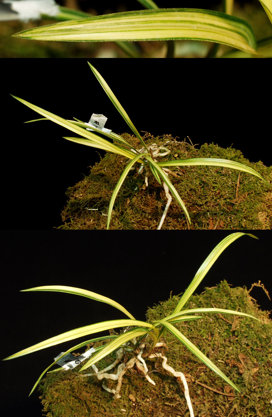 ������ ū������ �� �� �ֽ��ϴ�.