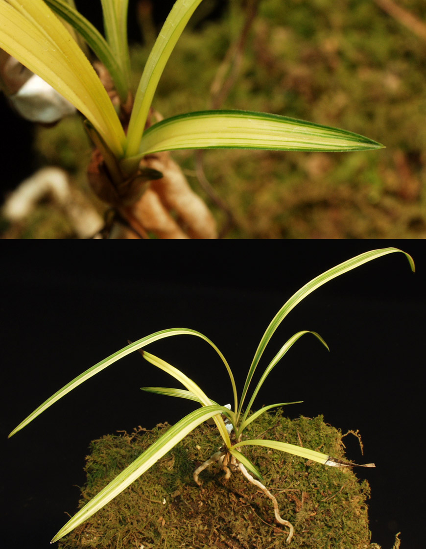 ������ ū������ �� �� �ֽ��ϴ�.