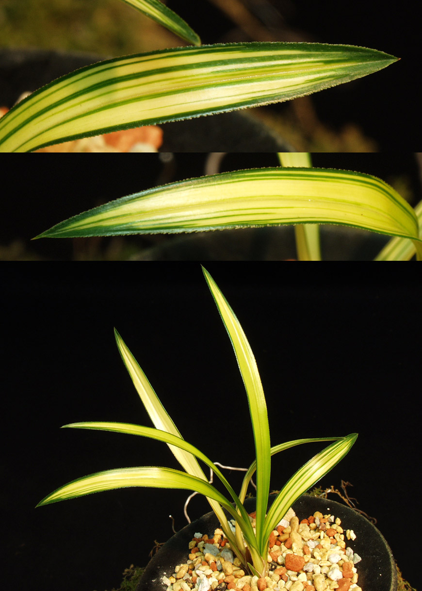 ������ ū������ �� �� �ֽ��ϴ�.