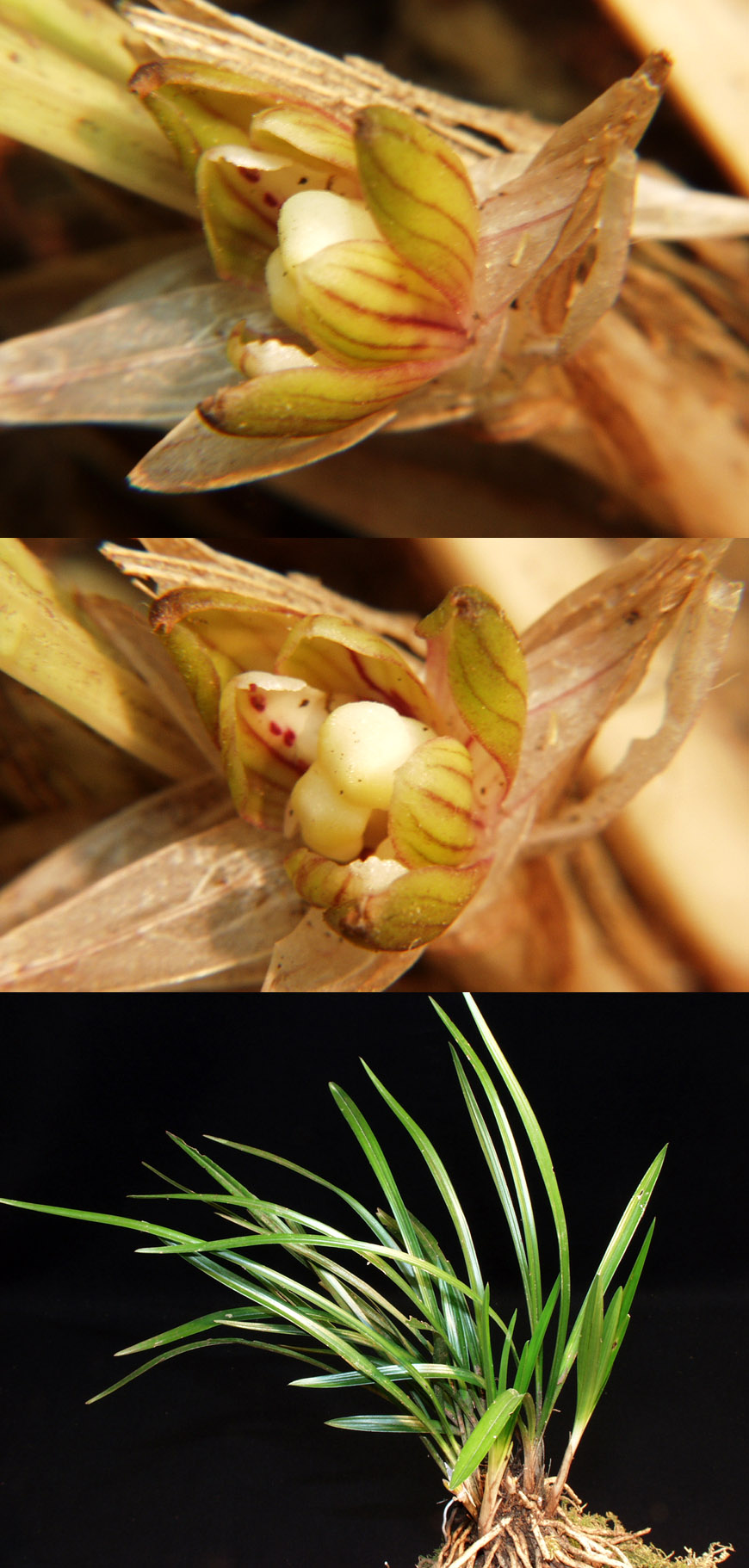 ������ ū������ �� �� �ֽ��ϴ�.