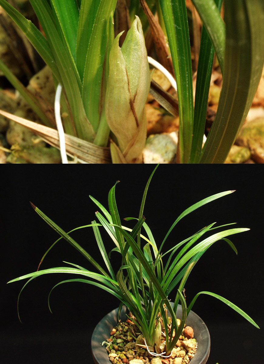 ������ ū������ �� �� �ֽ��ϴ�.