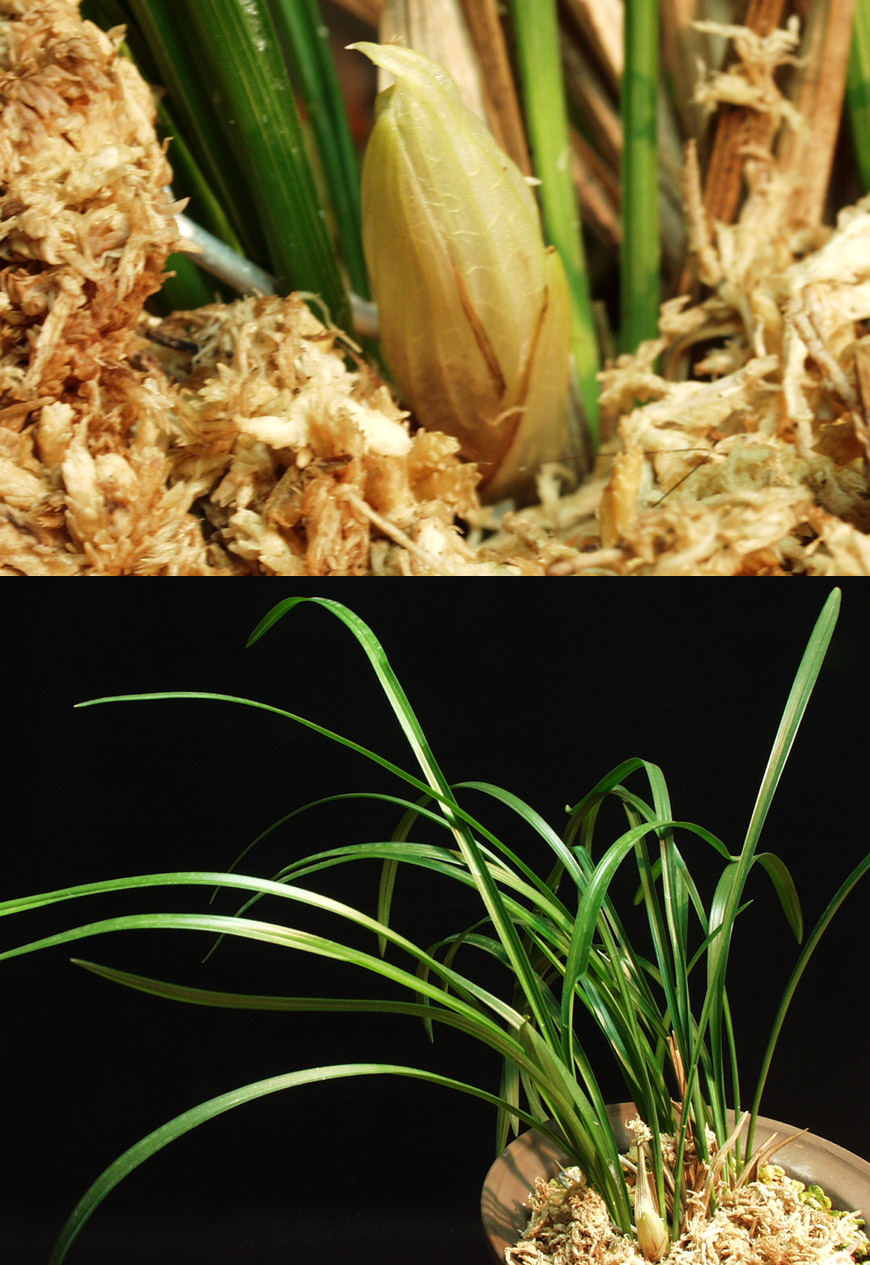 ������ ū������ �� �� �ֽ��ϴ�.