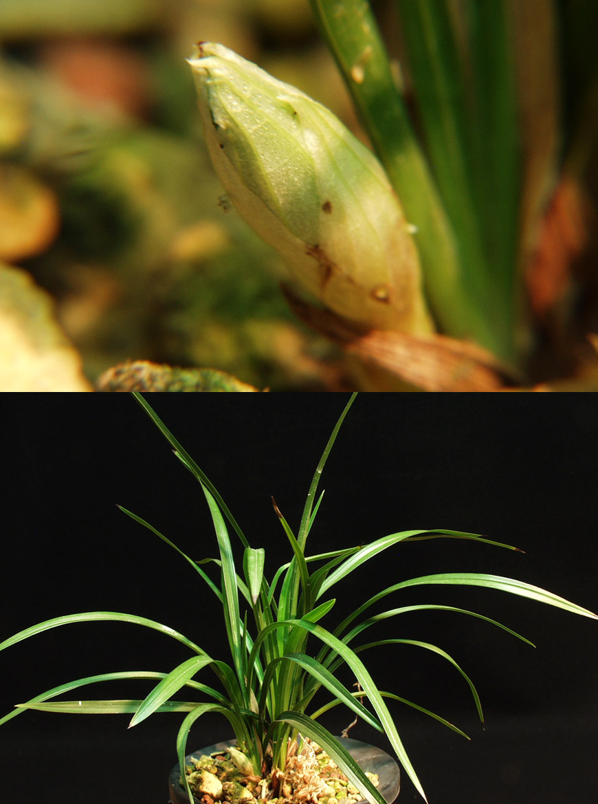 ������ ū������ �� �� �ֽ��ϴ�.