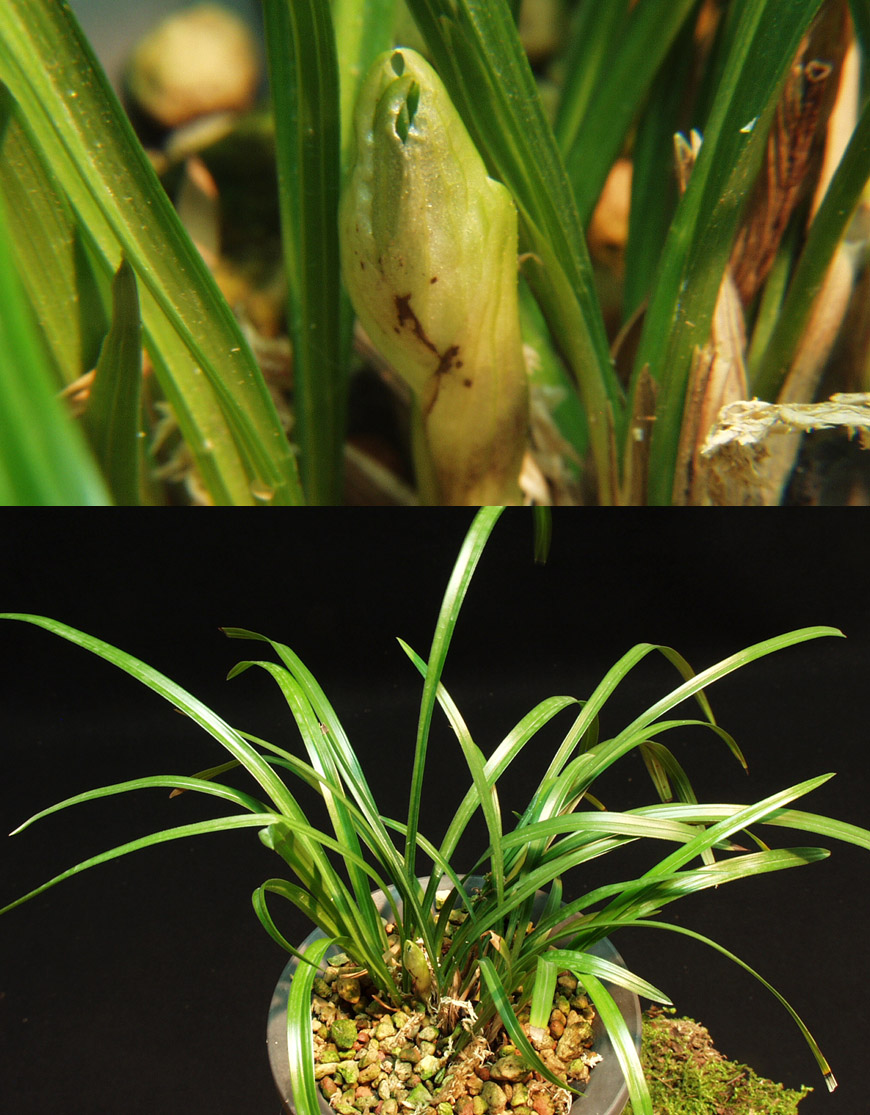 ������ ū������ �� �� �ֽ��ϴ�.