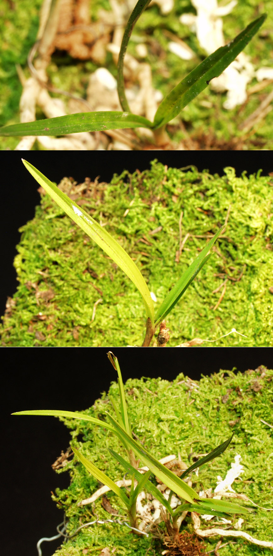 ������ ū������ �� �� �ֽ��ϴ�.