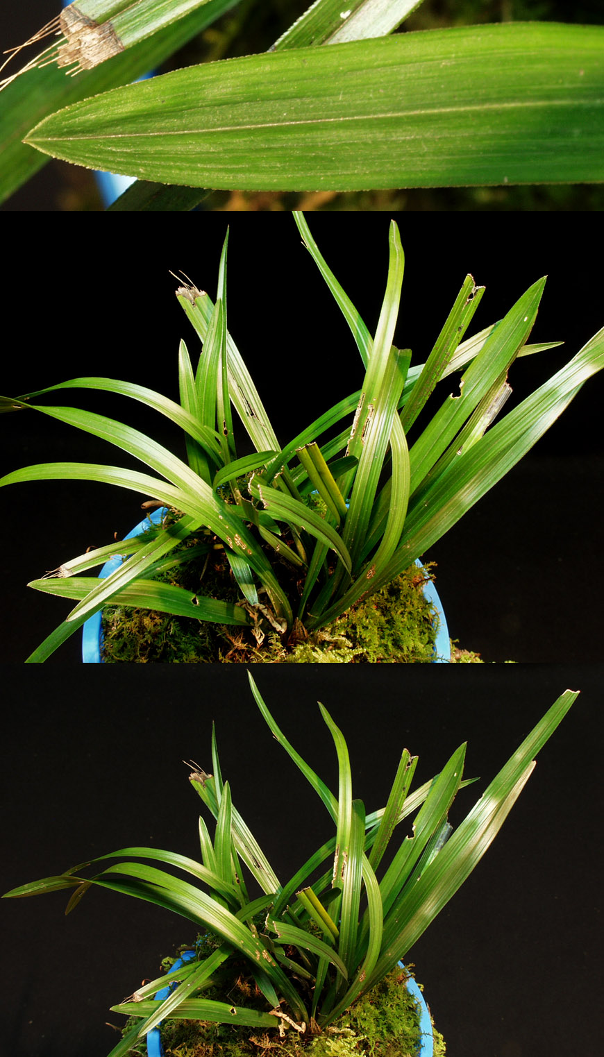 ������ ū������ �� �� �ֽ��ϴ�.