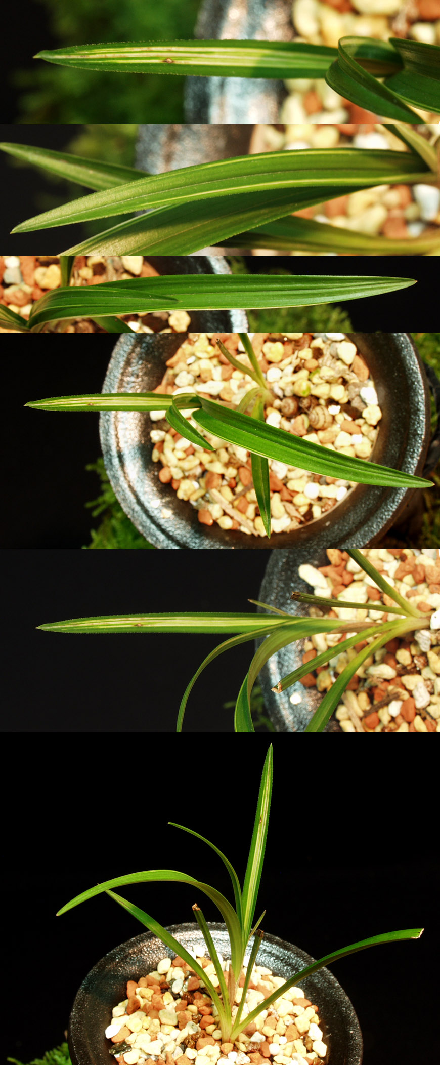 ������ ū������ �� �� �ֽ��ϴ�.