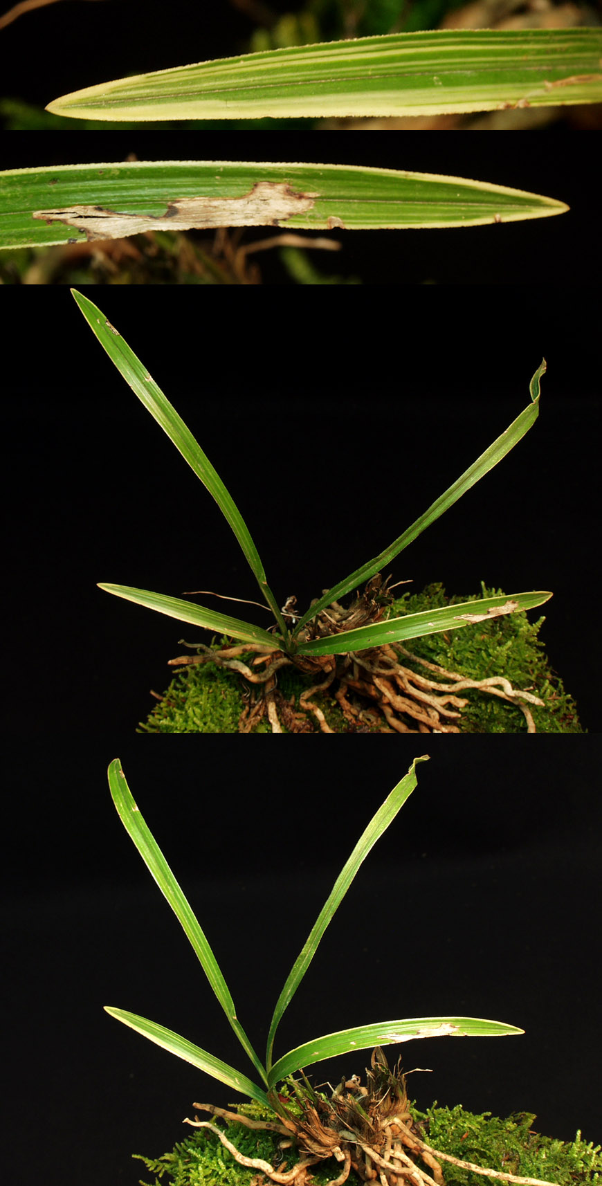 ������ ū������ �� �� �ֽ��ϴ�.