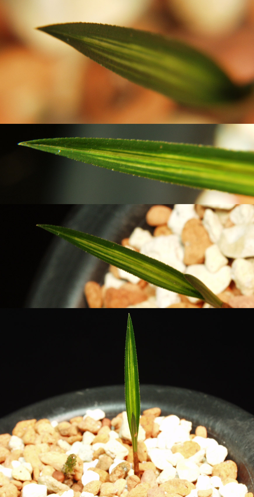 ������ ū������ �� �� �ֽ��ϴ�.