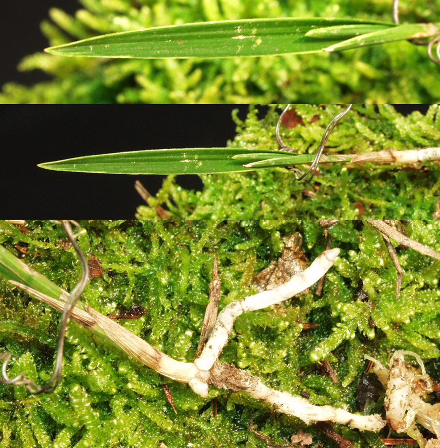 ������ ū������ �� �� �ֽ��ϴ�.