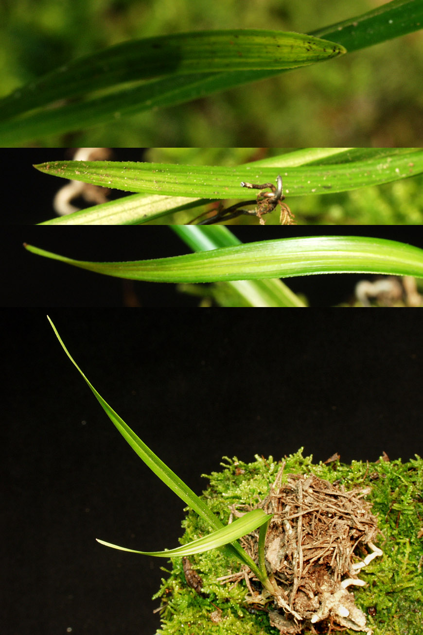 ������ ū������ �� �� �ֽ��ϴ�.