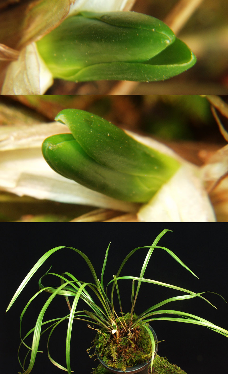 ������ ū������ �� �� �ֽ��ϴ�.