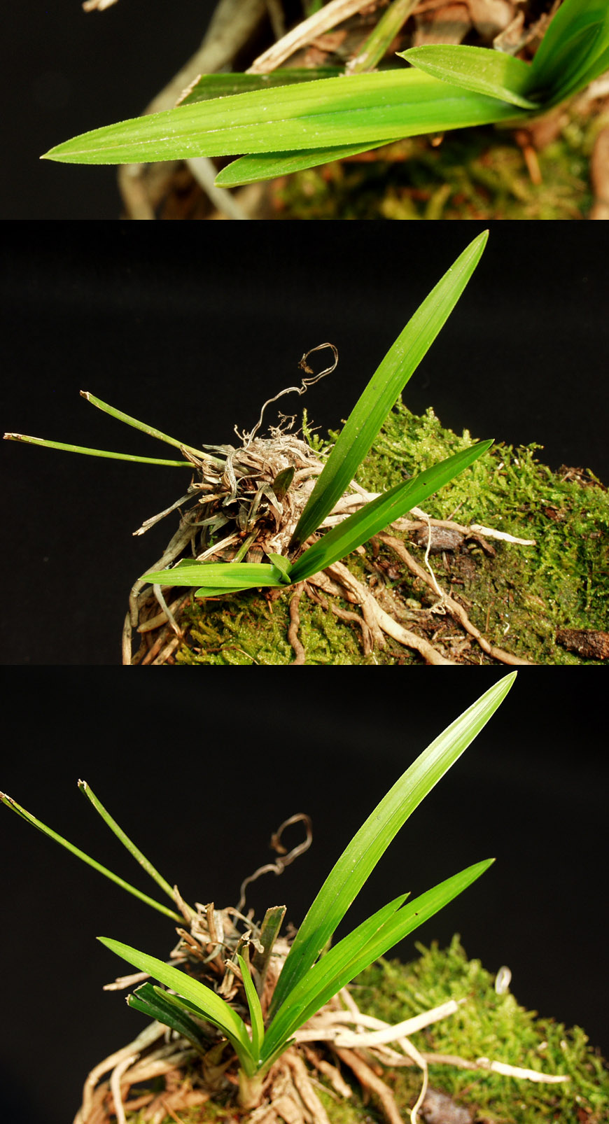 ������ ū������ �� �� �ֽ��ϴ�.