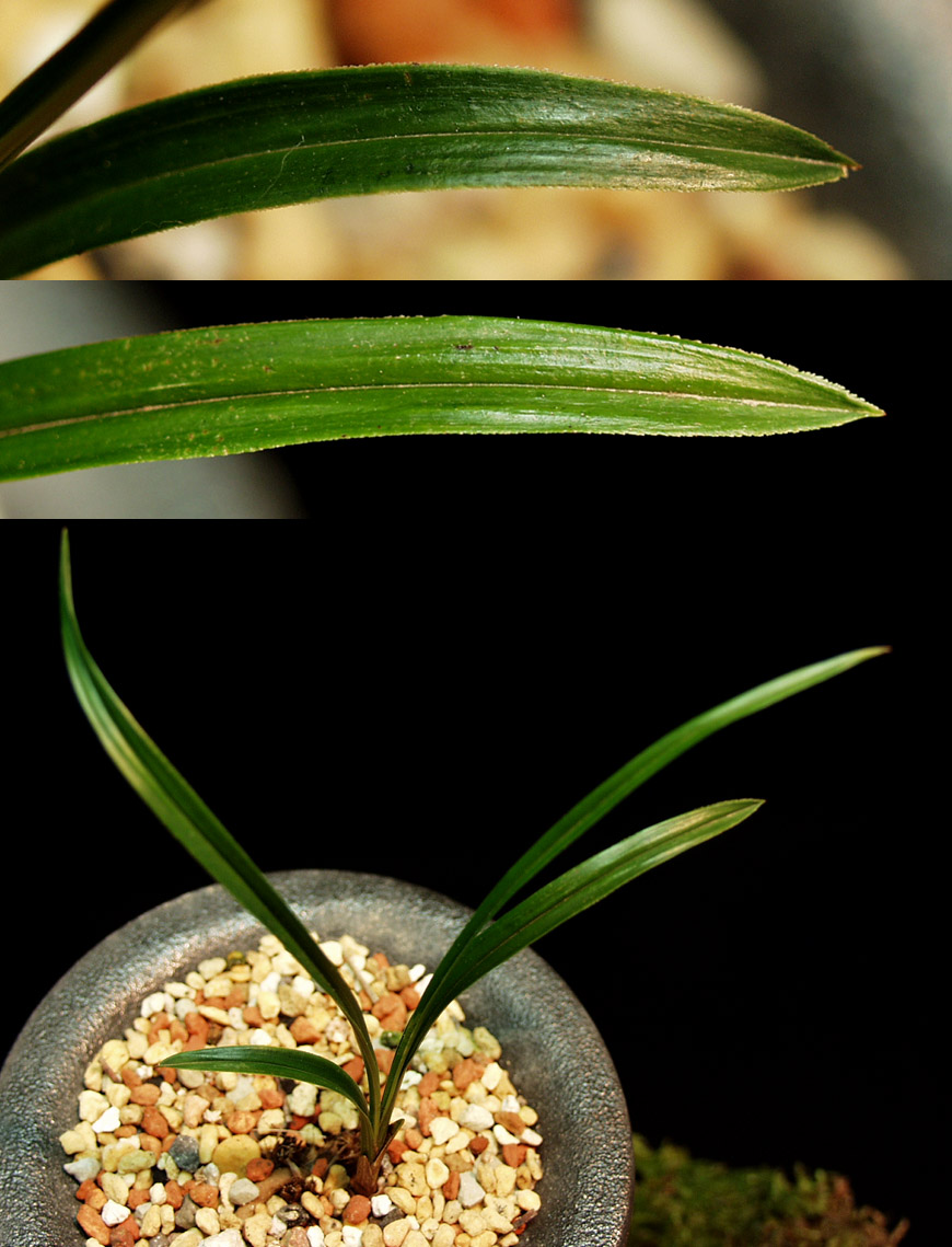 ������ ū������ �� �� �ֽ��ϴ�.