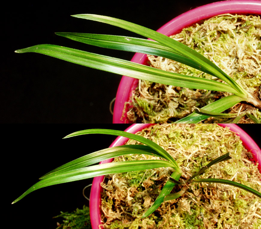 ������ ū������ �� �� �ֽ��ϴ�.