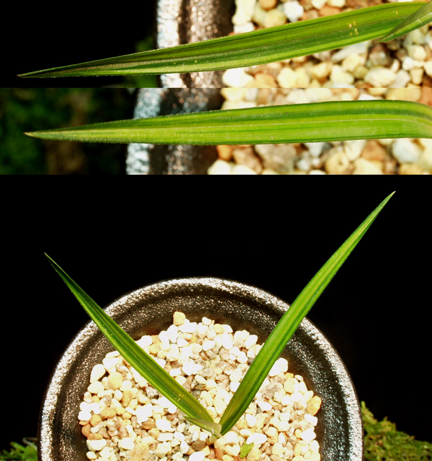 ������ ū������ �� �� �ֽ��ϴ�.