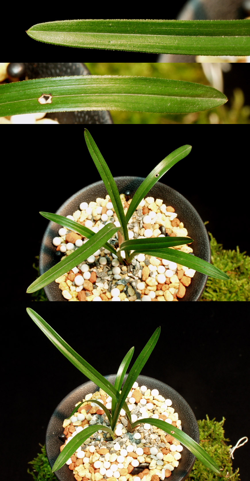 ������ ū������ �� �� �ֽ��ϴ�.