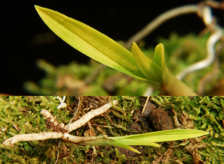 ������ ū������ �� �� �ֽ��ϴ�.