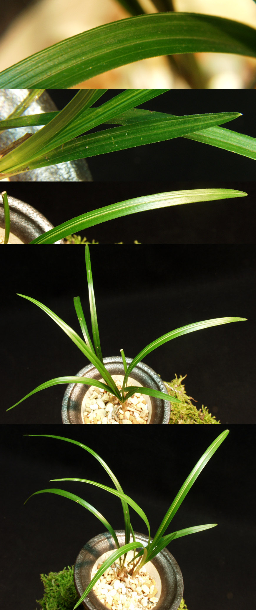 ������ ū������ �� �� �ֽ��ϴ�.