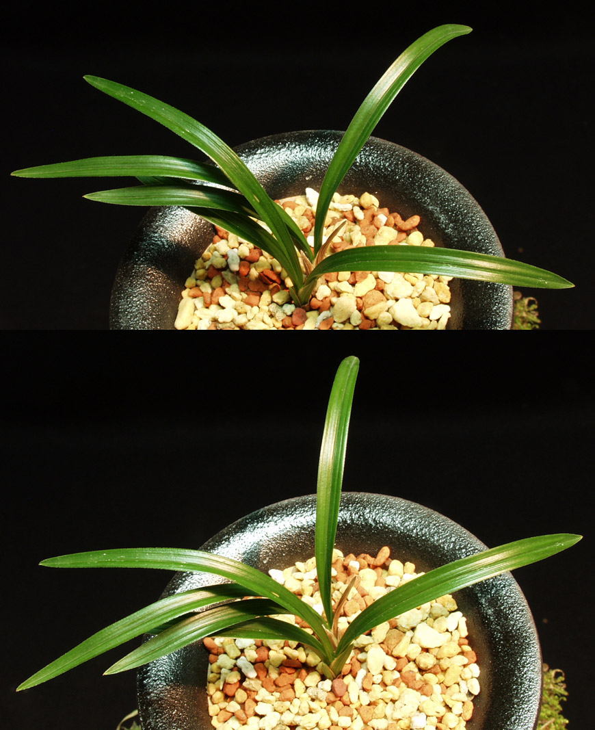 ������ ū������ �� �� �ֽ��ϴ�.