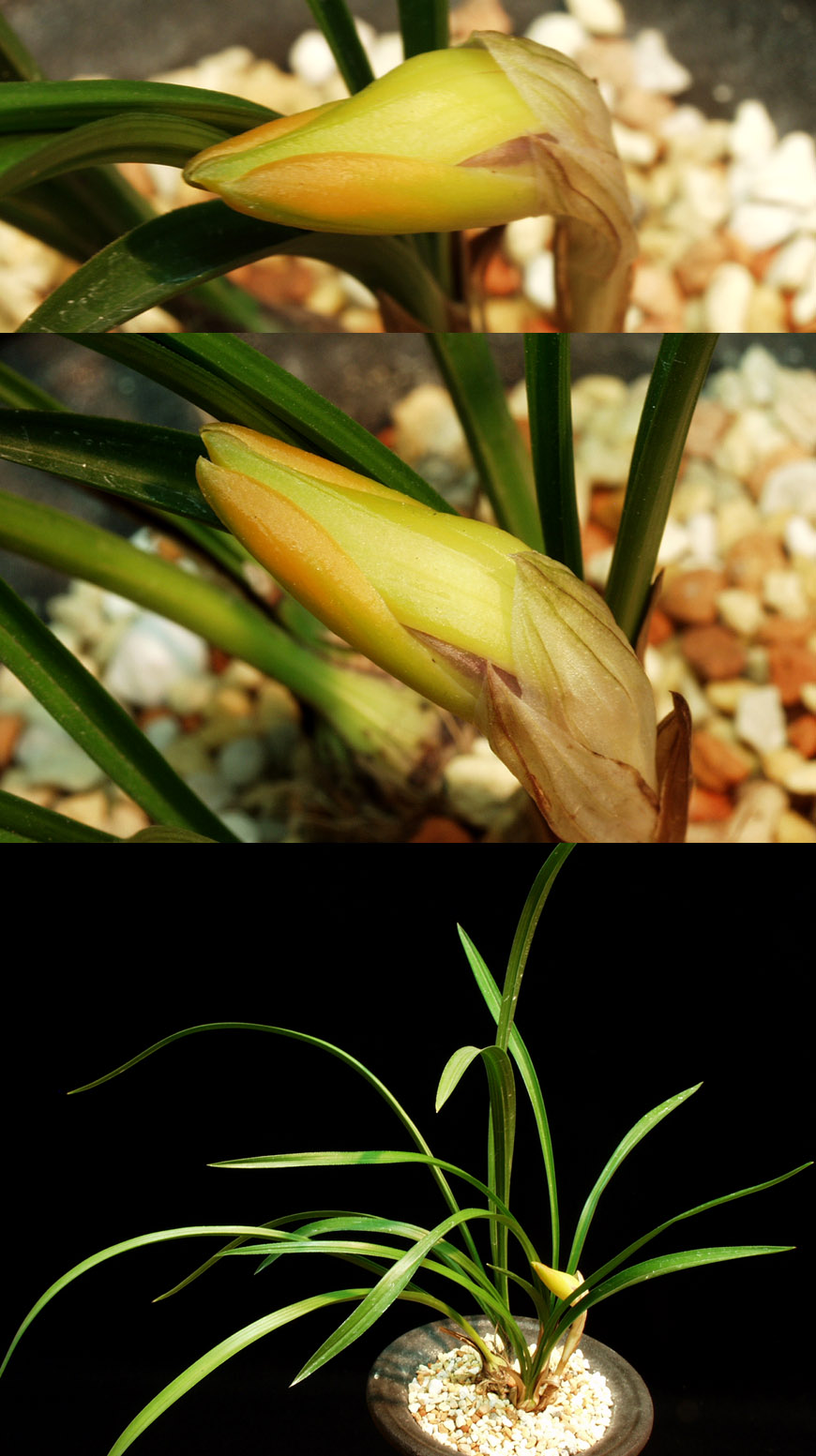 ������ ū������ �� �� �ֽ��ϴ�.