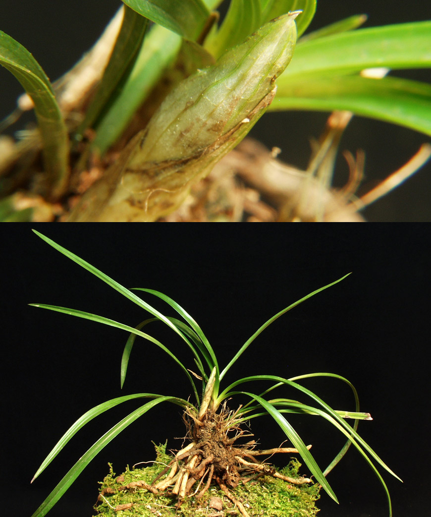 ������ ū������ �� �� �ֽ��ϴ�.