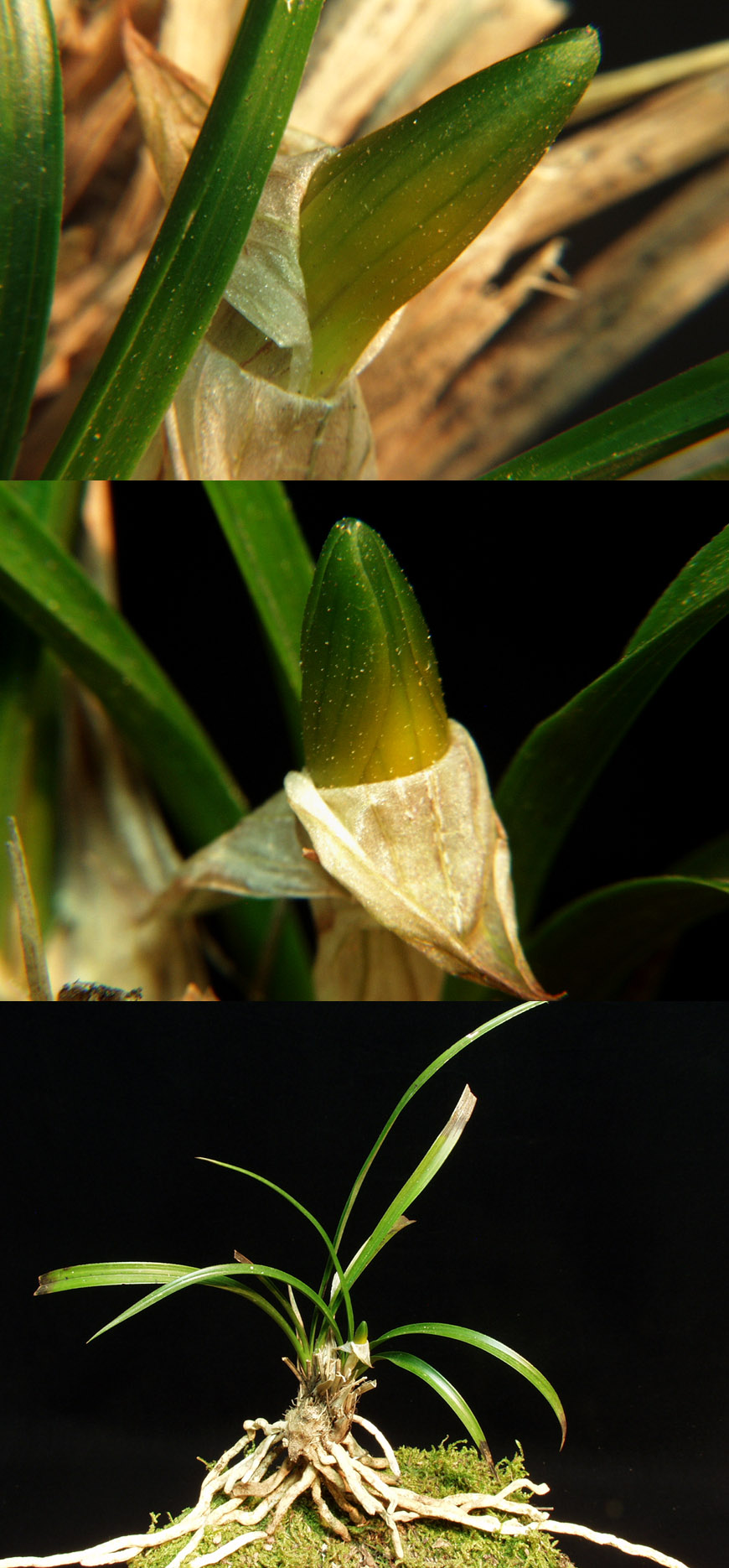 ������ ū������ �� �� �ֽ��ϴ�.