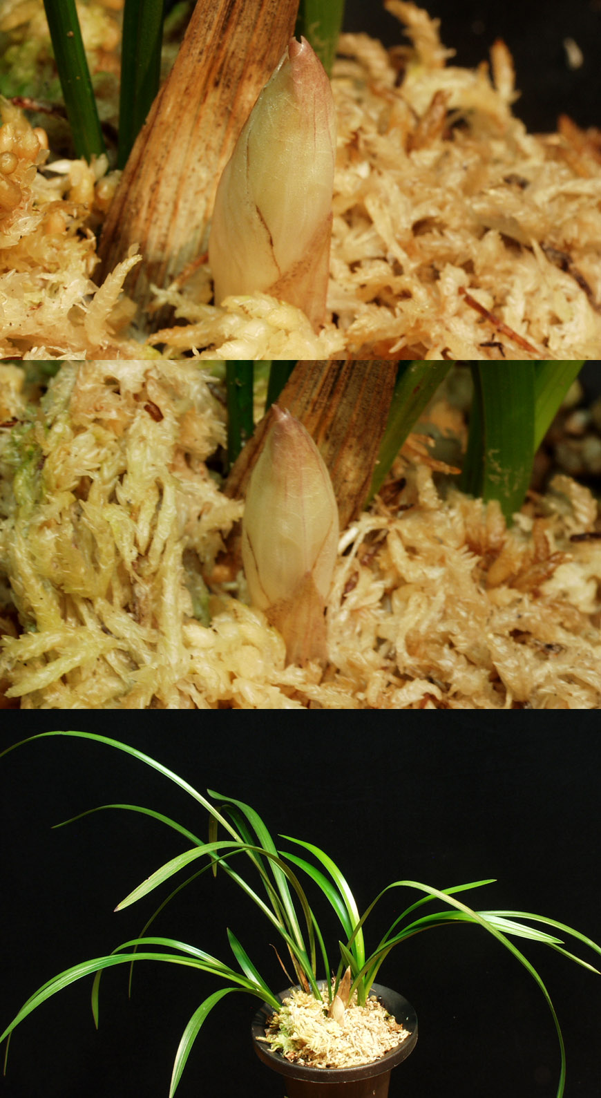 ������ ū������ �� �� �ֽ��ϴ�.