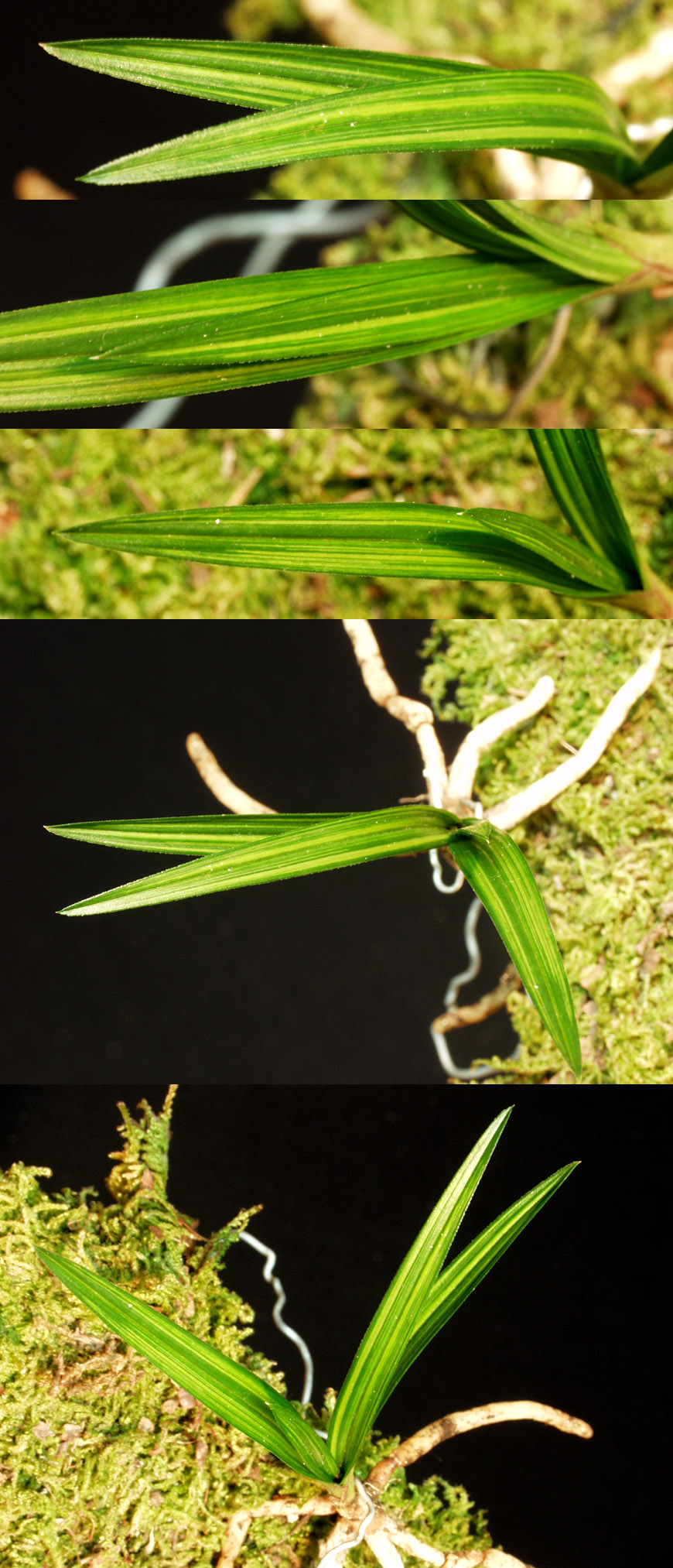 ������ ū������ �� �� �ֽ��ϴ�.