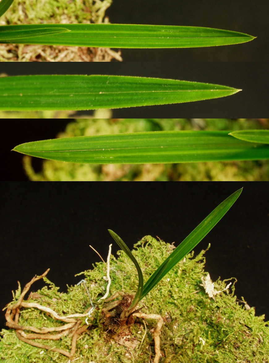 ������ ū������ �� �� �ֽ��ϴ�.