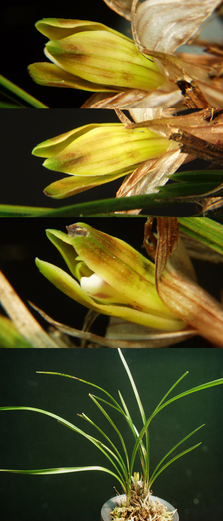 ������ ū������ �� �� �ֽ��ϴ�.