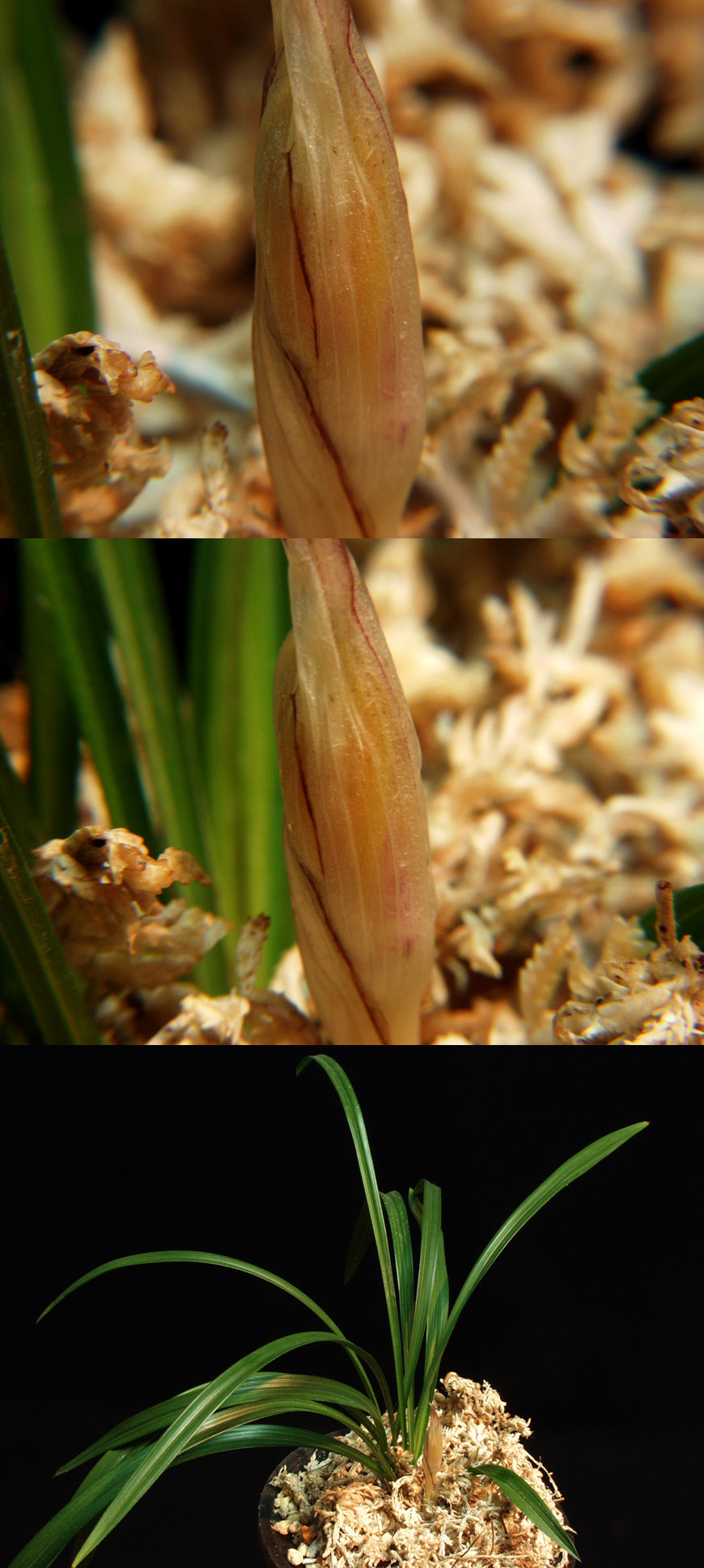 ������ ū������ �� �� �ֽ��ϴ�.