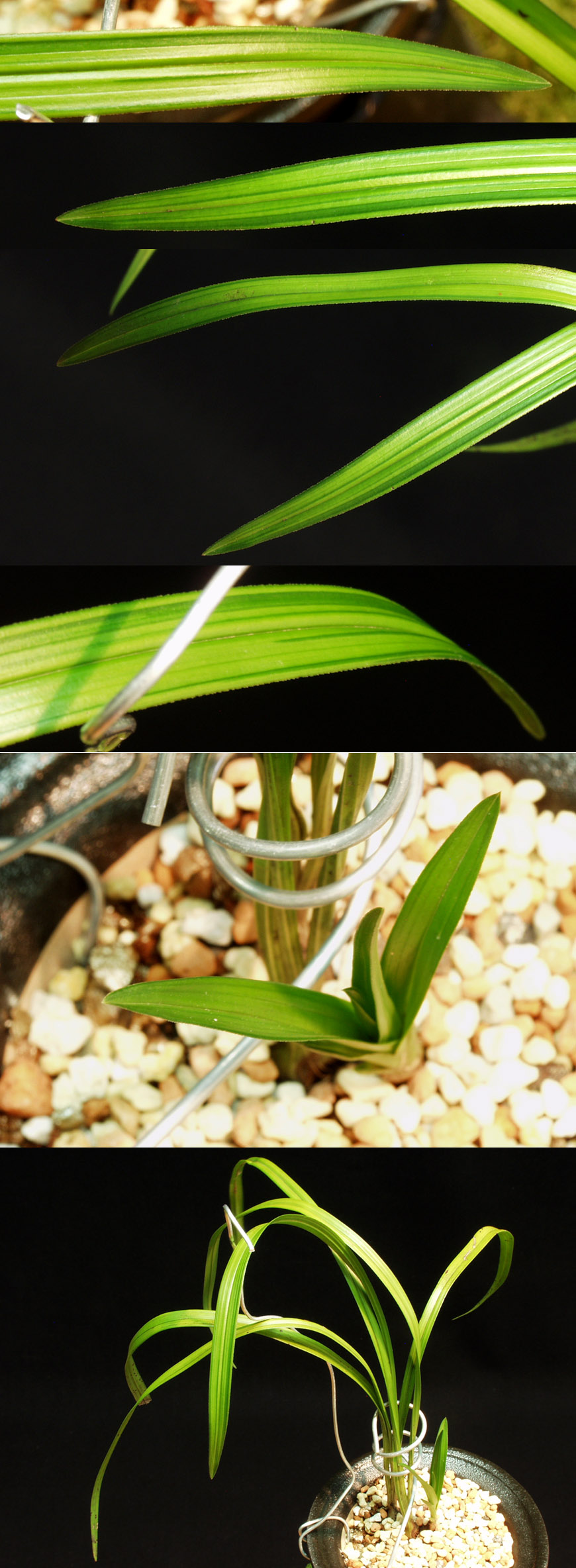 ������ ū������ �� �� �ֽ��ϴ�.