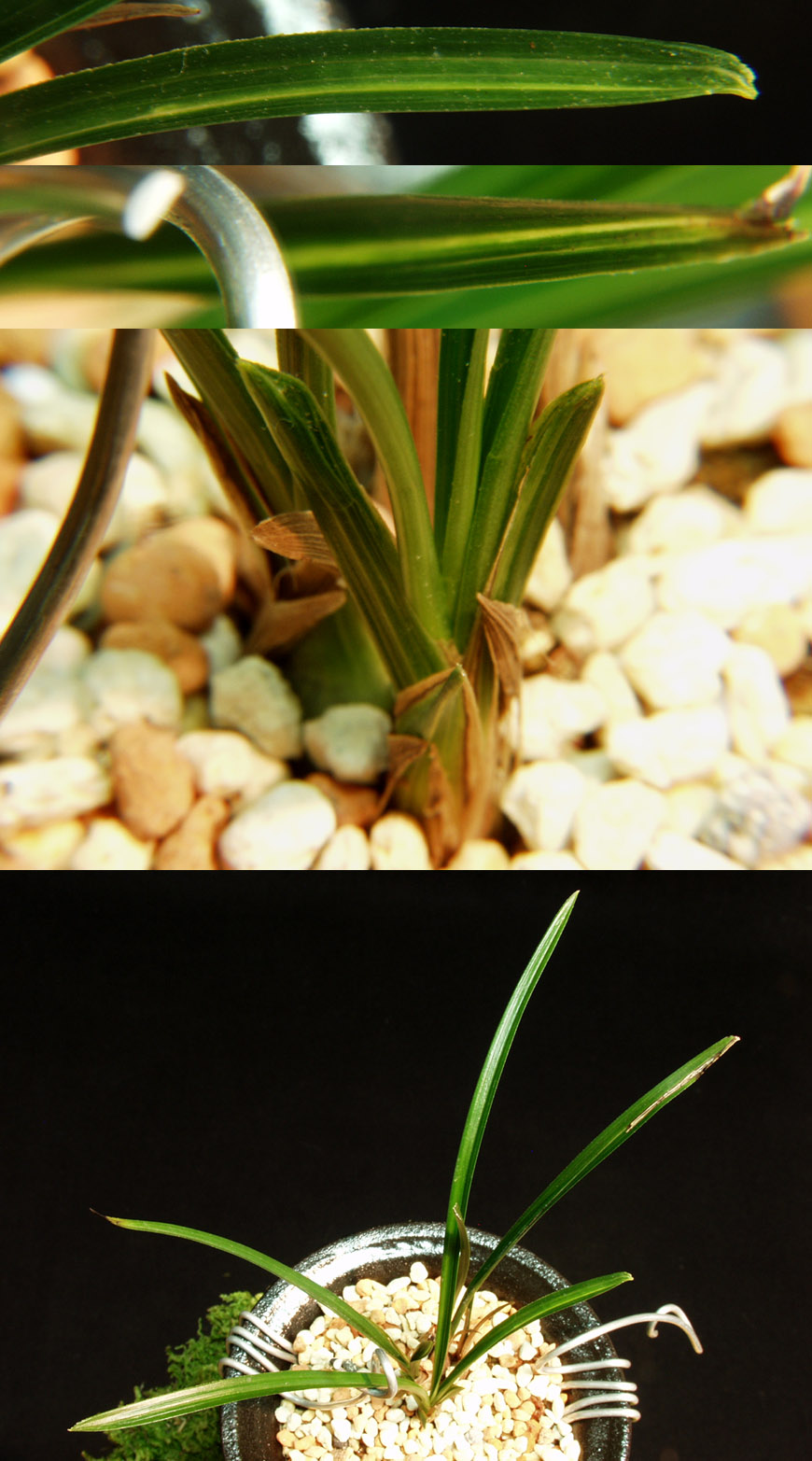 ������ ū������ �� �� �ֽ��ϴ�.