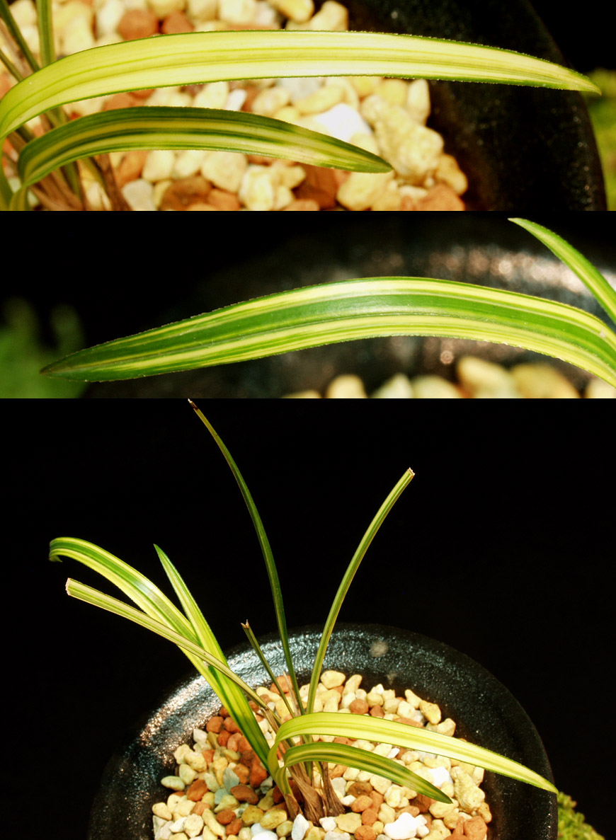 ������ ū������ �� �� �ֽ��ϴ�.