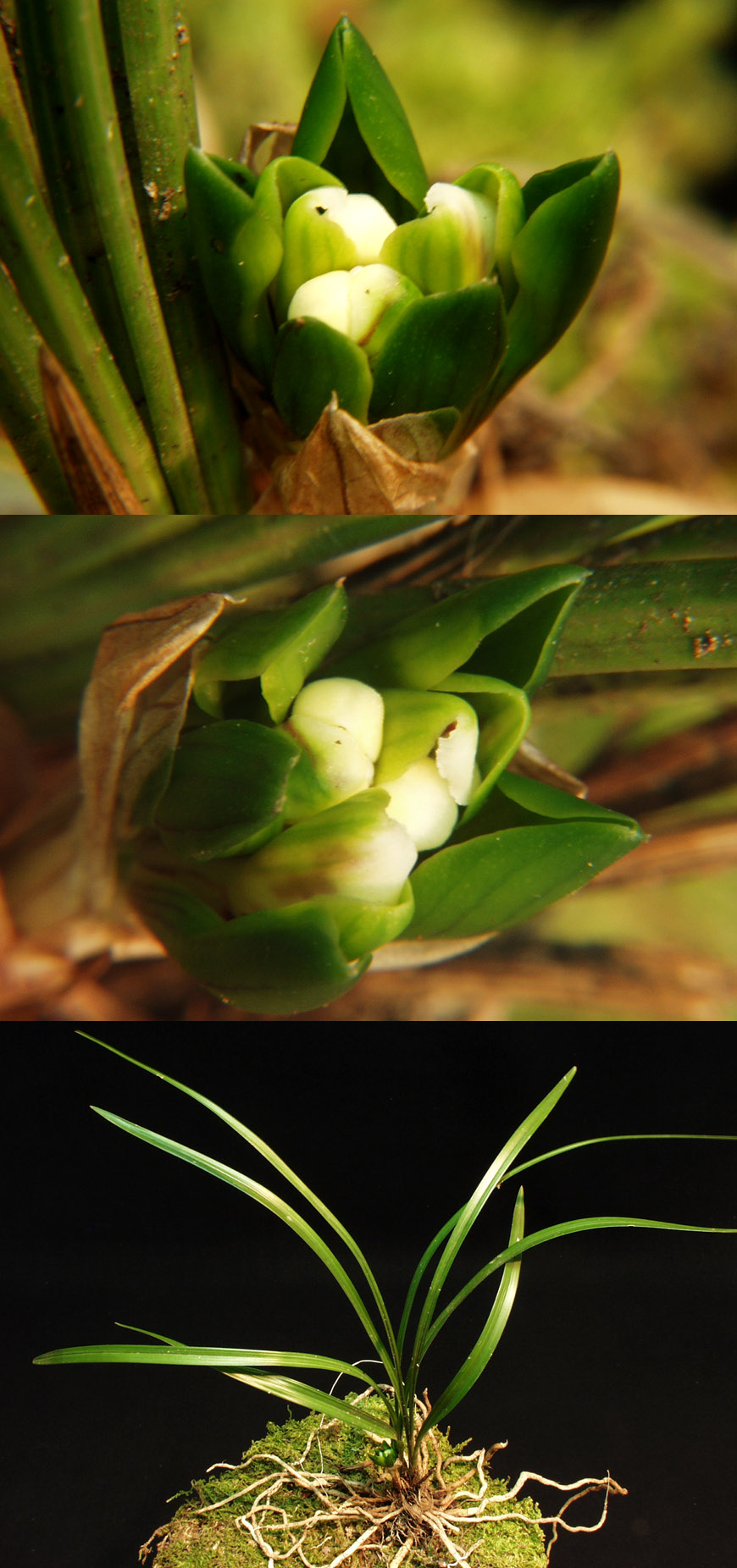 ������ ū������ �� �� �ֽ��ϴ�.