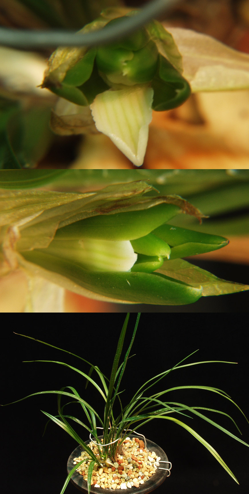 ������ ū������ �� �� �ֽ��ϴ�.