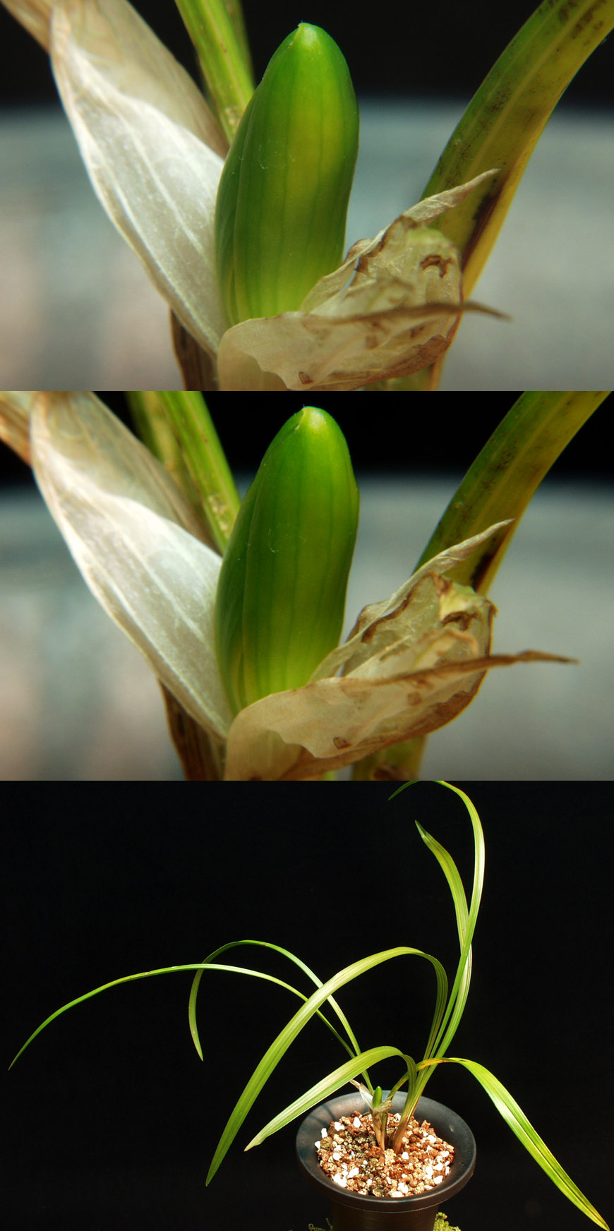 ������ ū������ �� �� �ֽ��ϴ�.