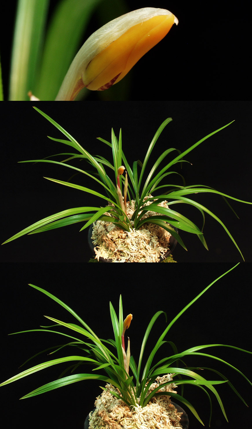 ������ ū������ �� �� �ֽ��ϴ�.