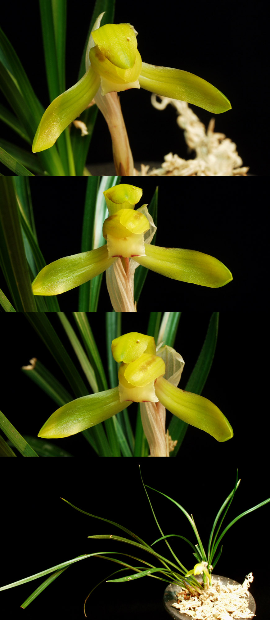 ������ ū������ �� �� �ֽ��ϴ�.