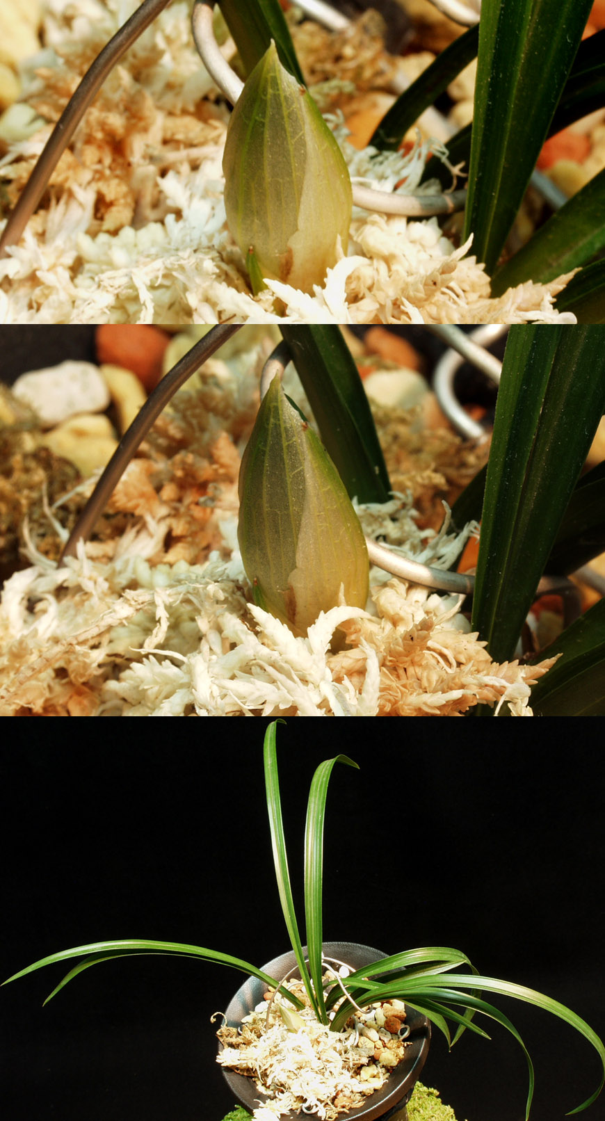 ������ ū������ �� �� �ֽ��ϴ�.