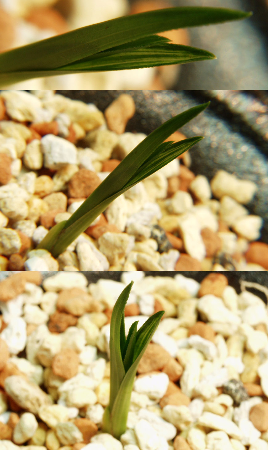 ������ ū������ �� �� �ֽ��ϴ�.