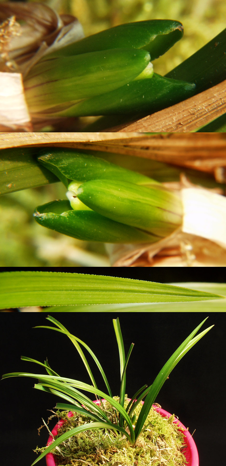 ������ ū������ �� �� �ֽ��ϴ�.