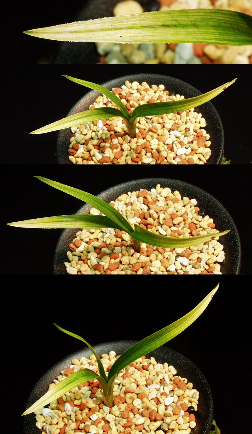 ������ ū������ �� �� �ֽ��ϴ�.