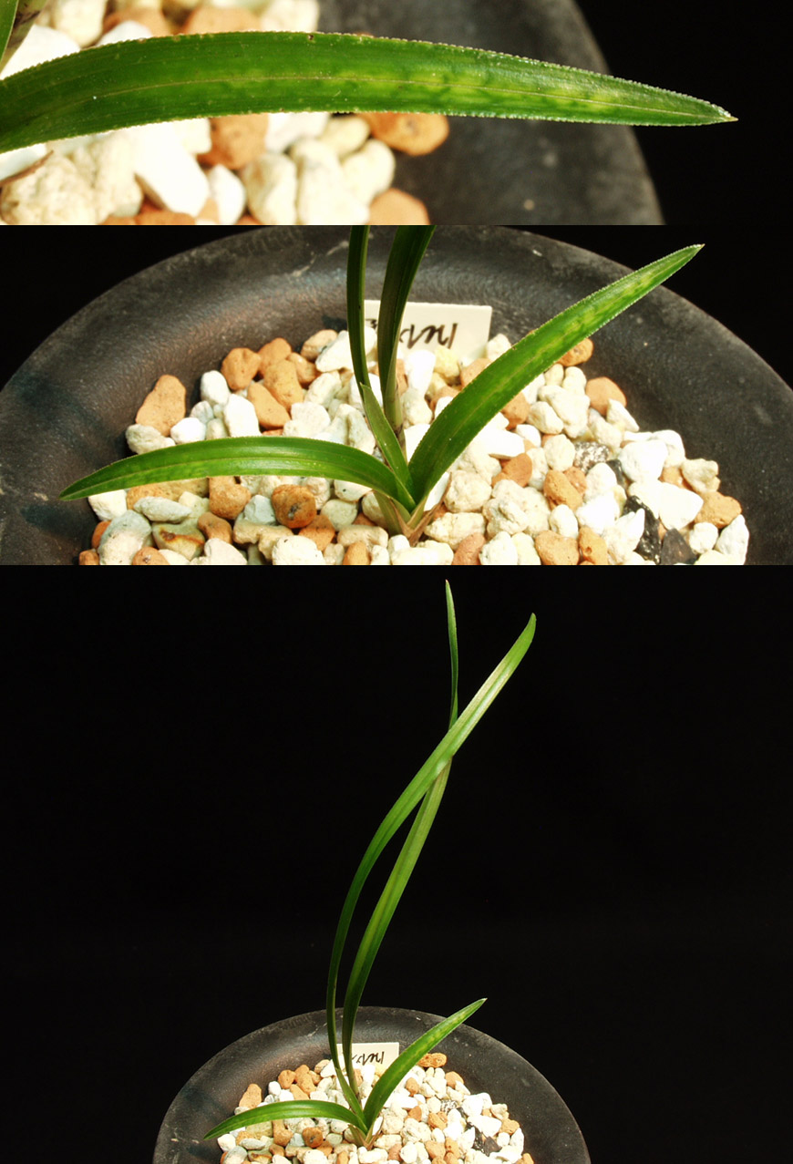 ������ ū������ �� �� �ֽ��ϴ�.