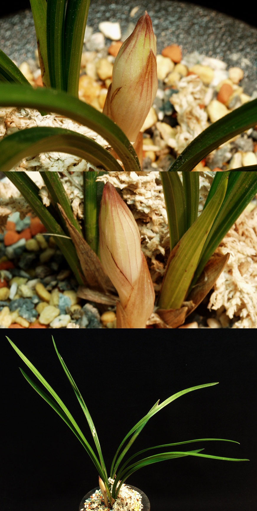 ������ ū������ �� �� �ֽ��ϴ�.