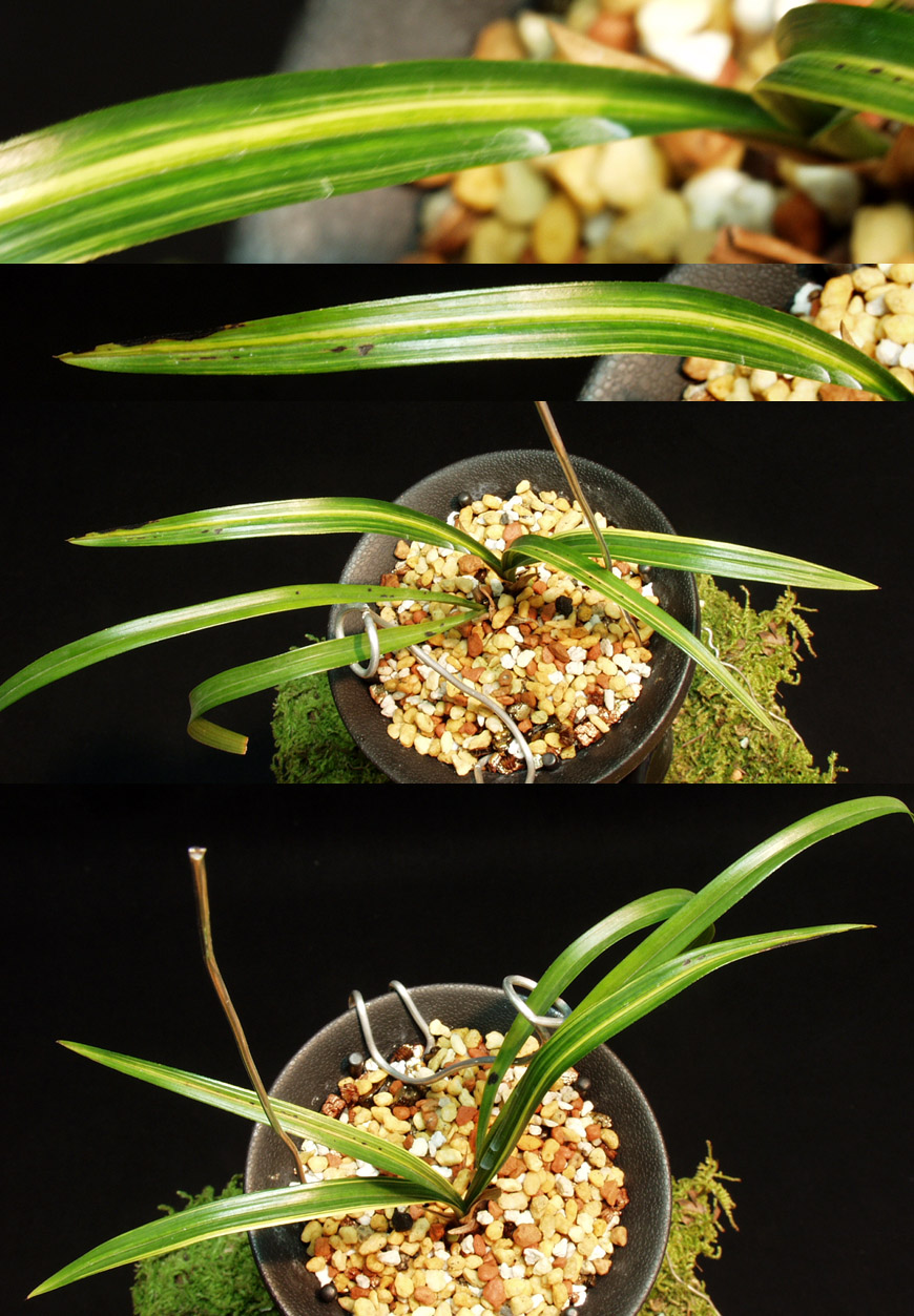 ������ ū������ �� �� �ֽ��ϴ�.